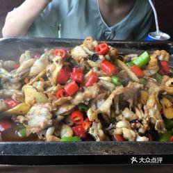 牛蛙爱上鱼爆料视频,一场跨越物种的浪漫邂逅 第3张 牛蛙爱上鱼爆料视频,一场跨越物种的浪漫邂逅 第3张